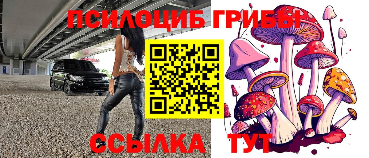 Кызыл  цена наркотик  Вход с VPN  Псилоцибиновые грибы Psilocybe 