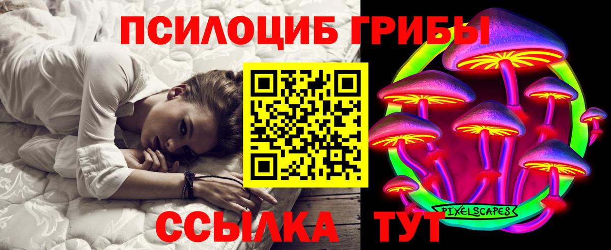 Галлюциногенные грибы GOLDEN TEACHER Кызыл